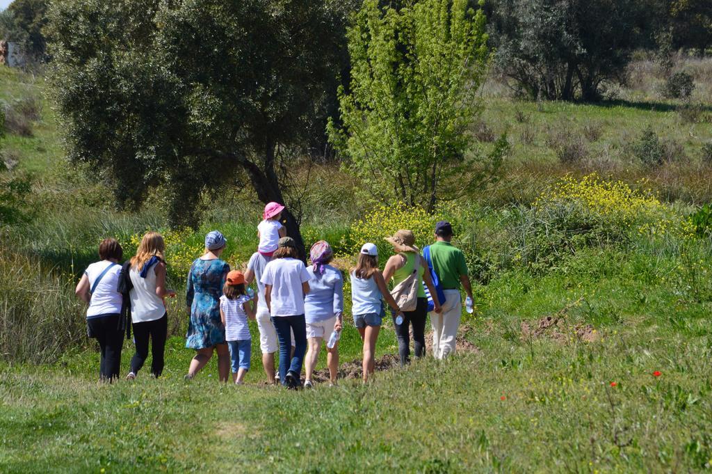 Monte Chalaca - Turismo Rural فيريرا دو ألينتيخو المظهر الخارجي الصورة